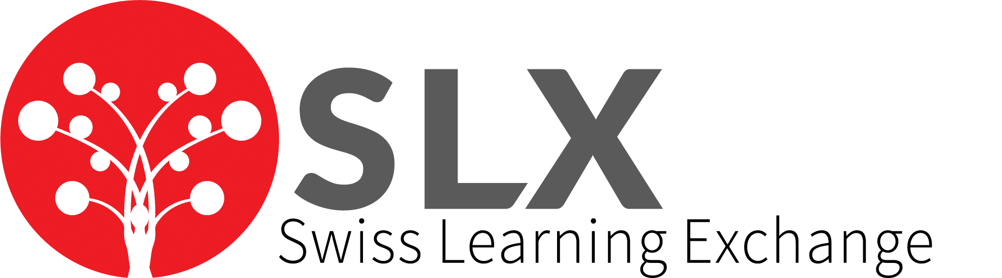 SLX Academy - Studio